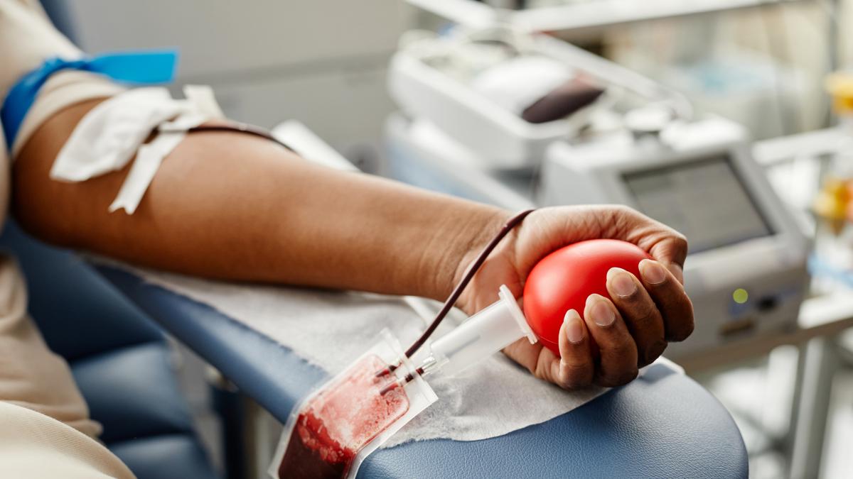 Ni los más jóvenes ni los más pequeños: este es el perfil más habitual del donante de sangre en España