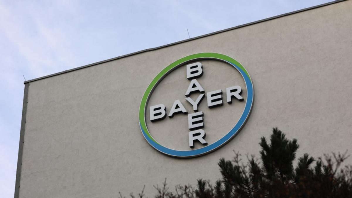bayer-se-lo-juega-todo-al-medicamento-contra-el-c-ncer-m-s-com-n