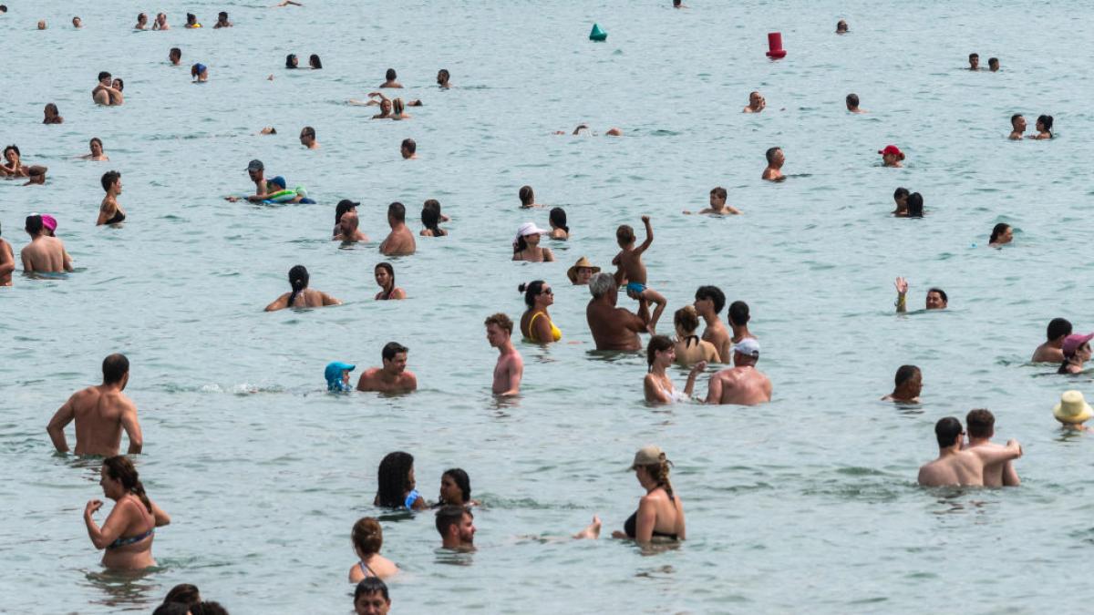 Es noticia en Italia lo que unas turistas han pagado por unas hamacas en una playa de Alicante