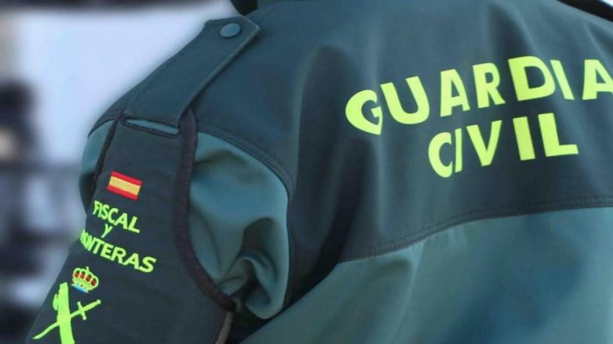 La Guardia Civil asesta un gran golpe al aceite de oliva virgen falso