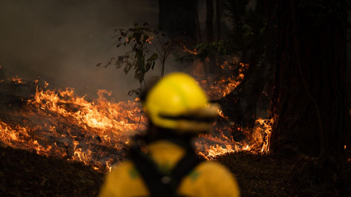Fire in Tenerife: the fire is entrenched in a ‘critical point’ of the island