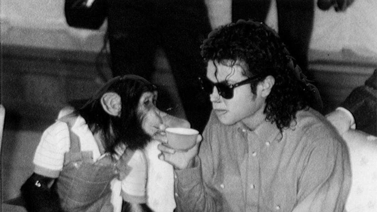 Qué fue de Bubbles, el chimpancé de Michael Jackson