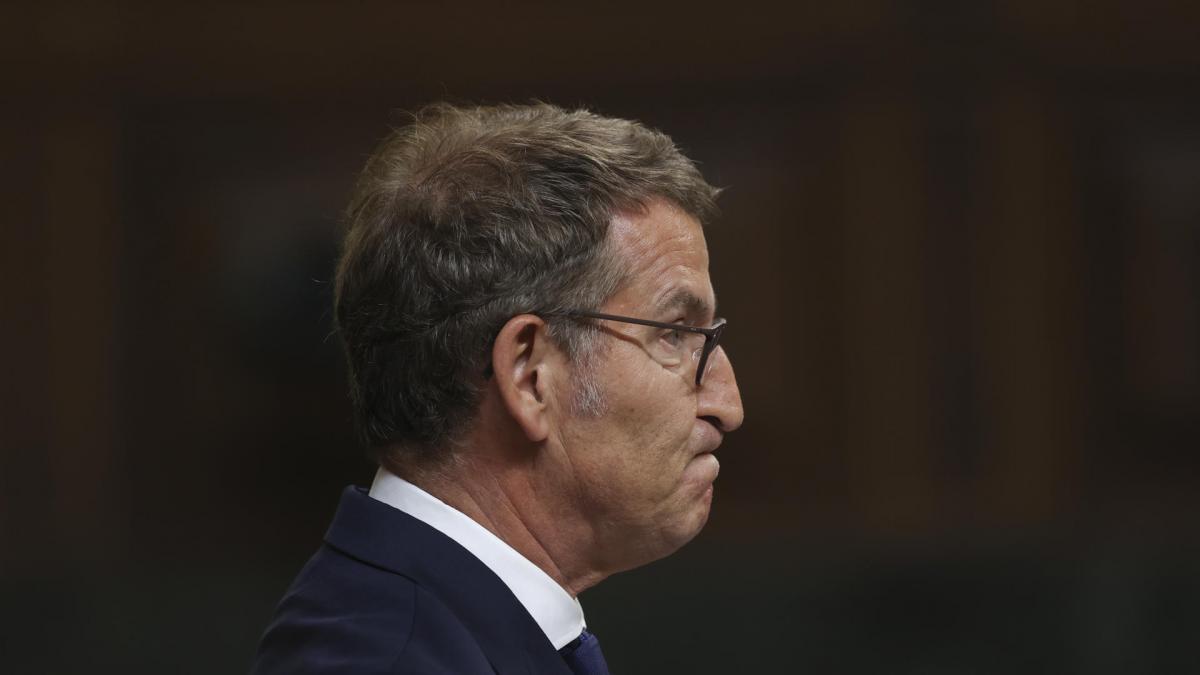Las mentiras e inexactitudes que Feijóo ha dicho en su discurso de investidura