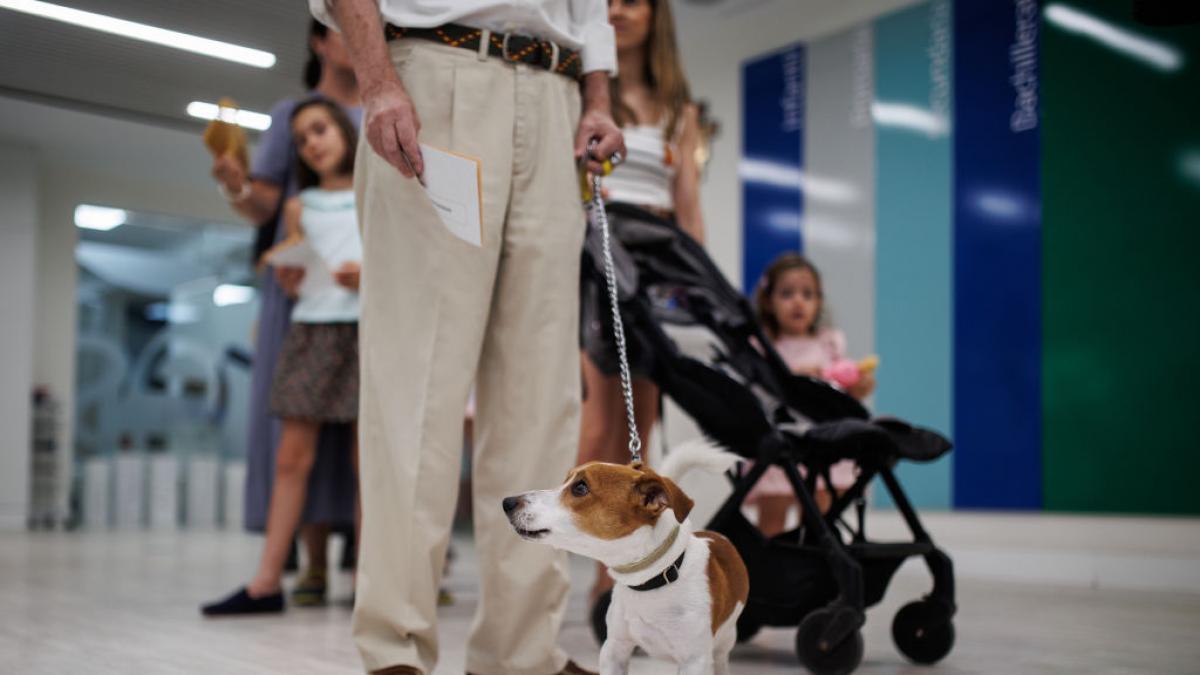 puedes llevar a tu perro al objetivo