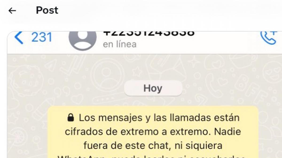 Le escribe por WhatsApp un número desconocido y su respuesta va camino de  hacer historia