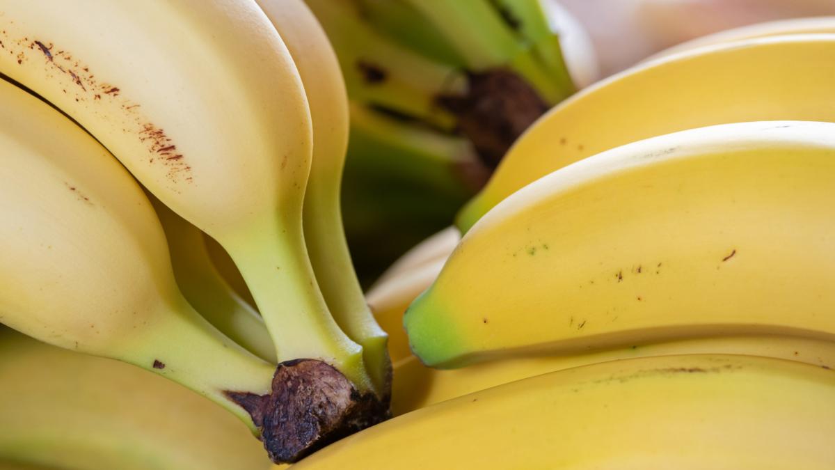 Spain is betting big on dried fruit to dethrone the banana from potassium’s throne