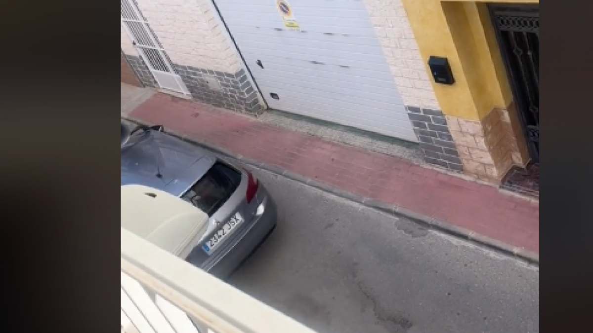 Lo Que Graba Desde Su Casa En Un Pueblo De Murcia Ya Lo Han Visto Medio ...