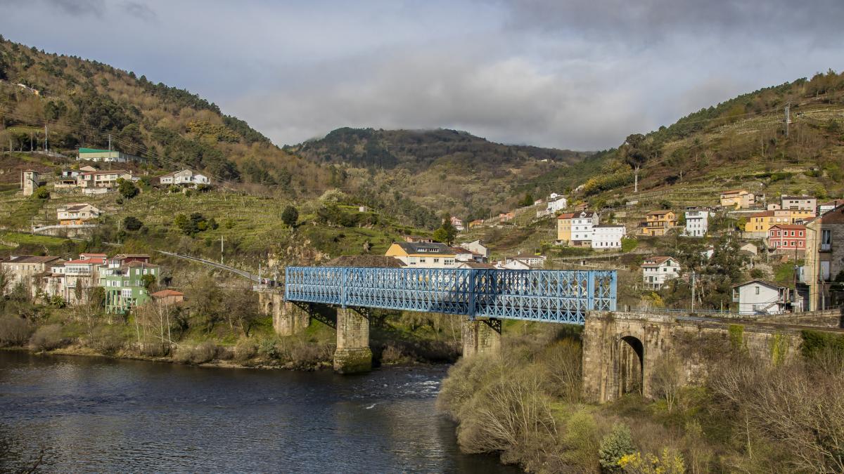 Aprueban batidas experimentales para aniquilar al monstruo del Río Miño