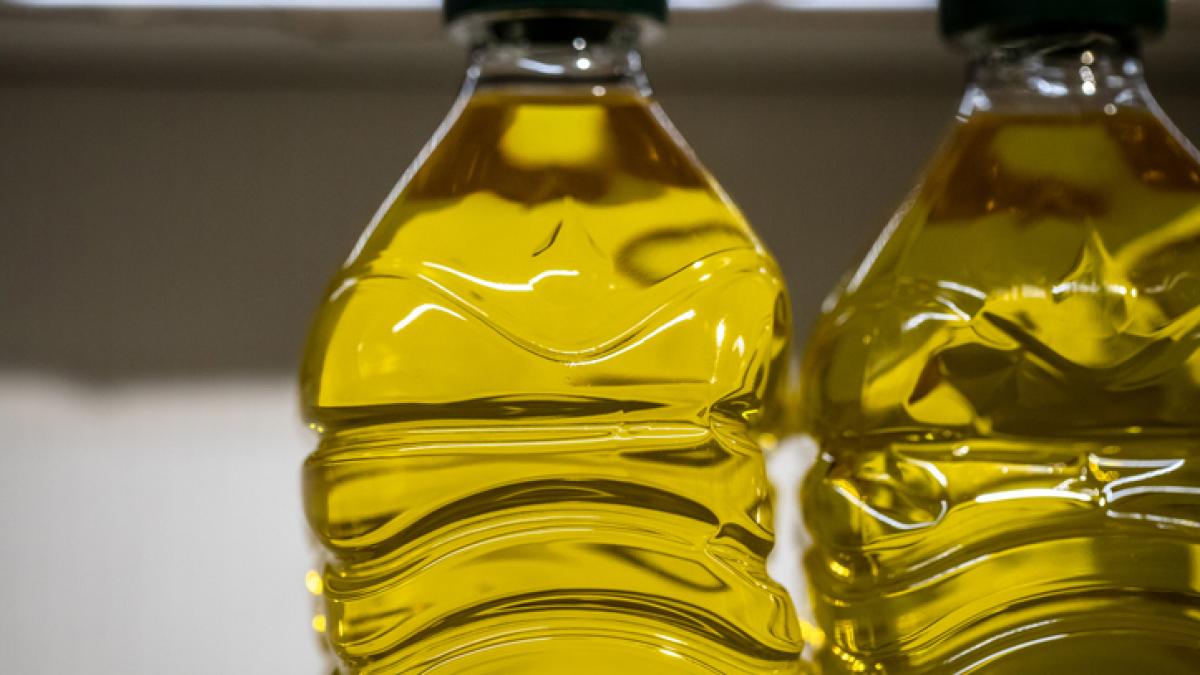Amazon breaks the market with an offer of virgin olive oil at prices from years ago