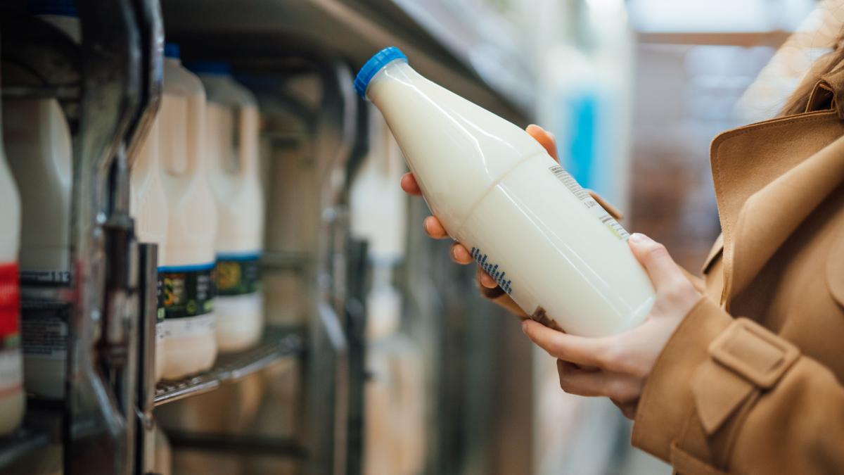 Alemania anuncia la venta de leche más sana producida sin animales