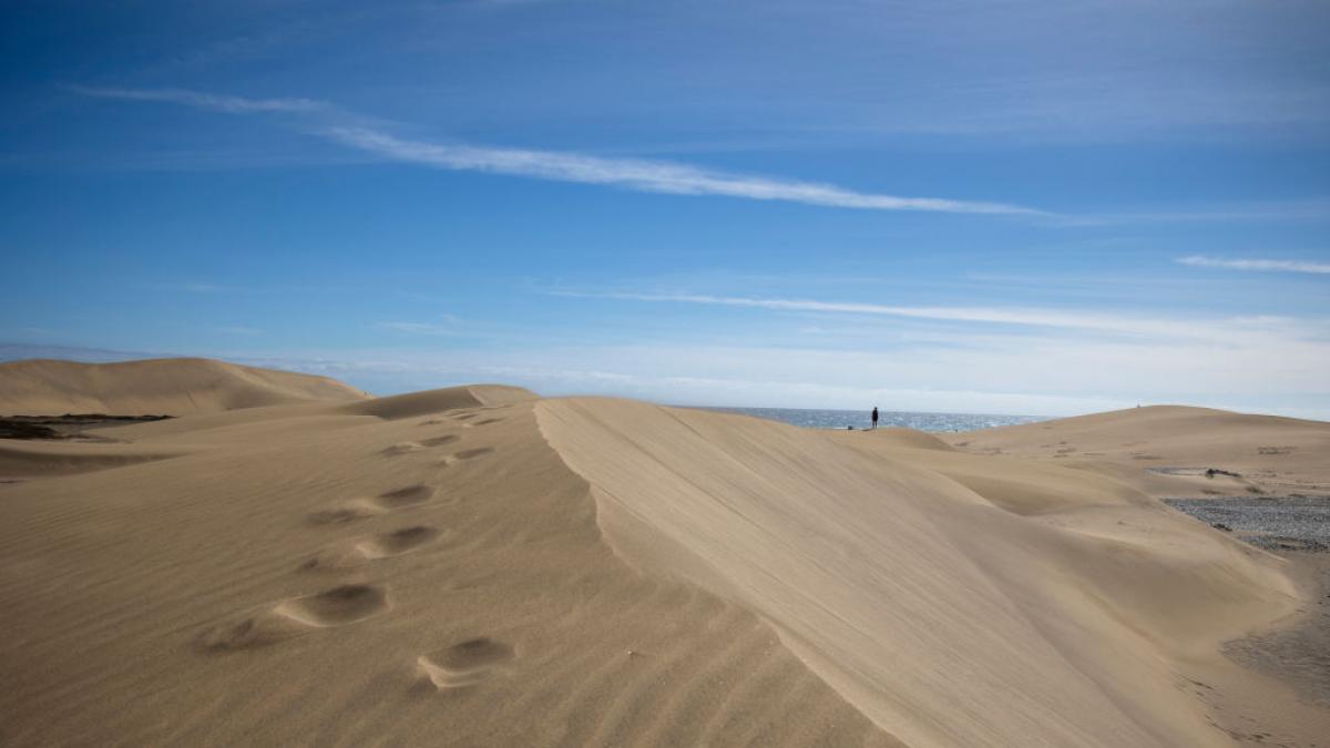 Indignación por lo que ha ocurrido en las Dunas de Maspalomas: decenas de  personas a por 1.000 euros