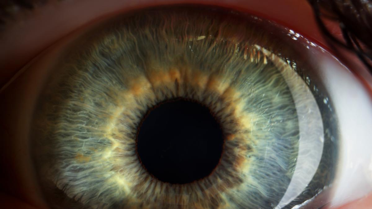 Escanear el iris a cambio de criptomonedas: los jÃ³venes atiborran las colas mientras los expertos piden andarse con ojo