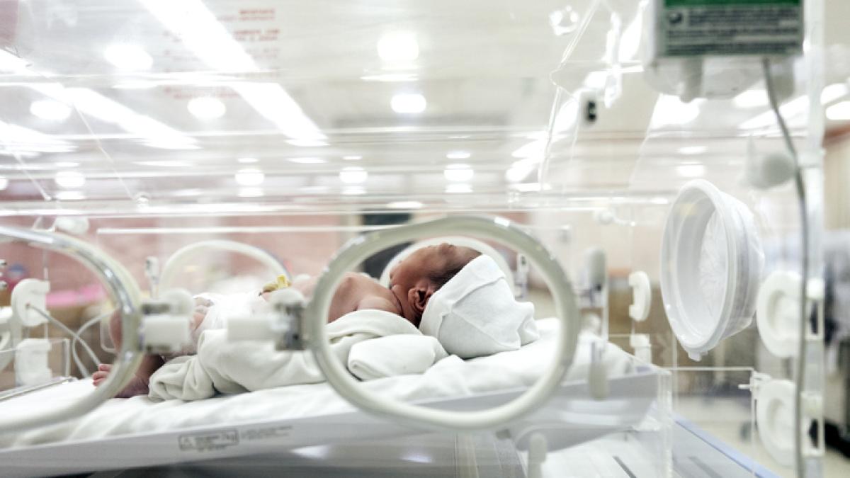 España inicia el año con la cifra más alta de nacimientos desde 2020: 53.080 en solo dos meses