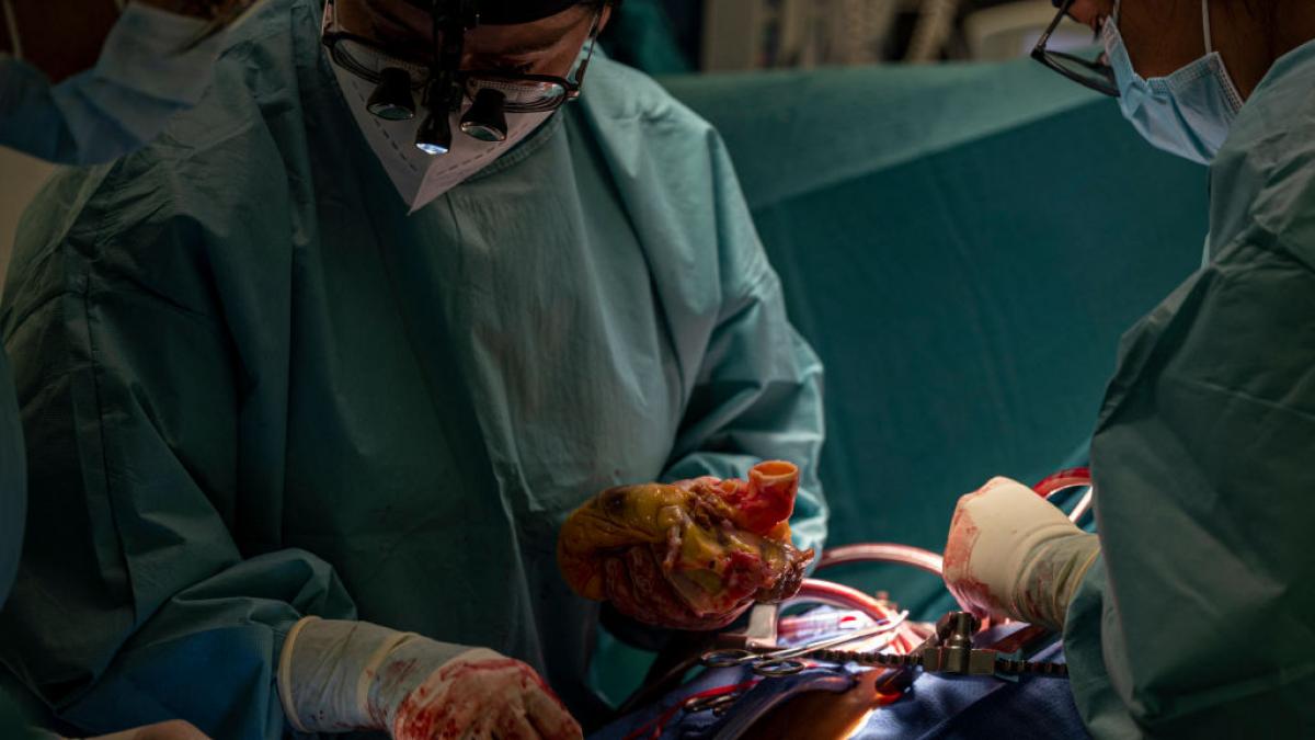 Un récord  Marca España : la sanidad española logra un nuevo tope de trasplantes en un día