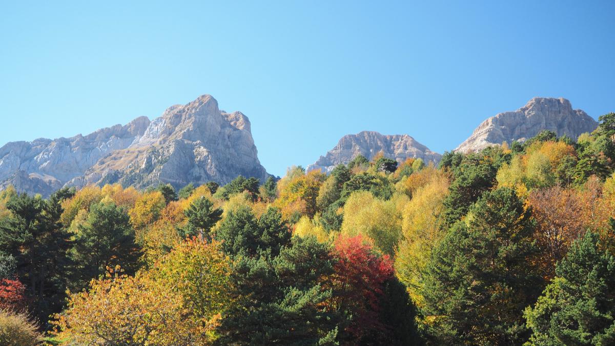 El nuevo laberinto natural de los Pirineos con 5.000 metros cuadrados de encrucijadas y confusiones