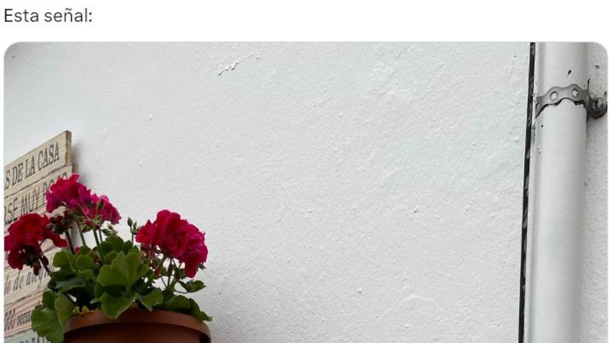El cartel que alguien ha colocado en una vivienda triunfa: no necesita ...