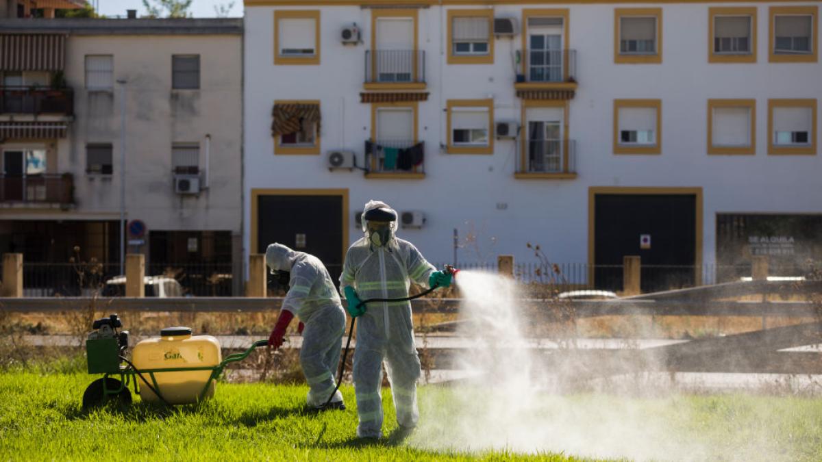 Fallece un hombre de 83 años por fiebre del Nilo Occidental en Extremadura