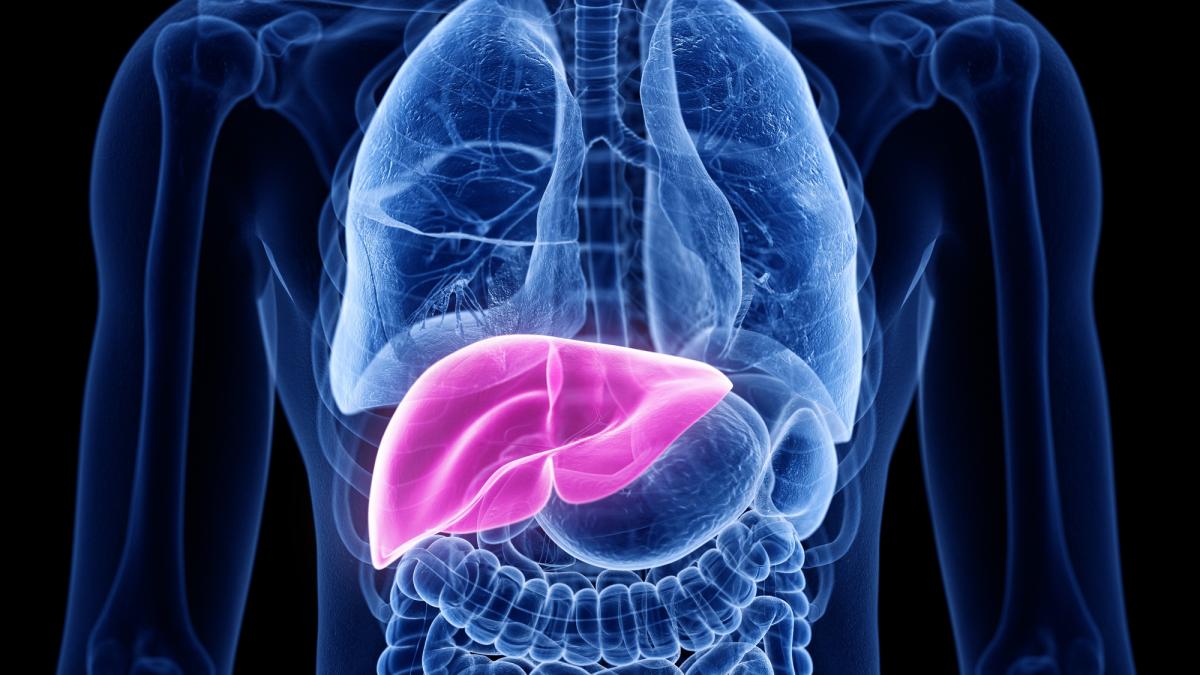 This is how long it takes the liver to recover from the last sip of alcohol.