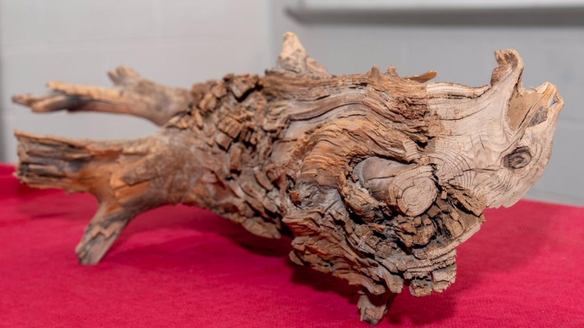 Una solución baratísima para combatir el cambio climático se encuentra