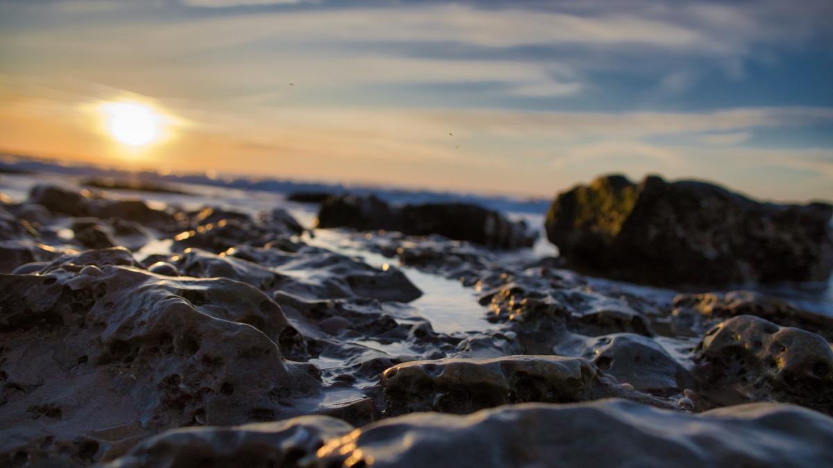 Este fue el invierno más caluroso de la historia de España