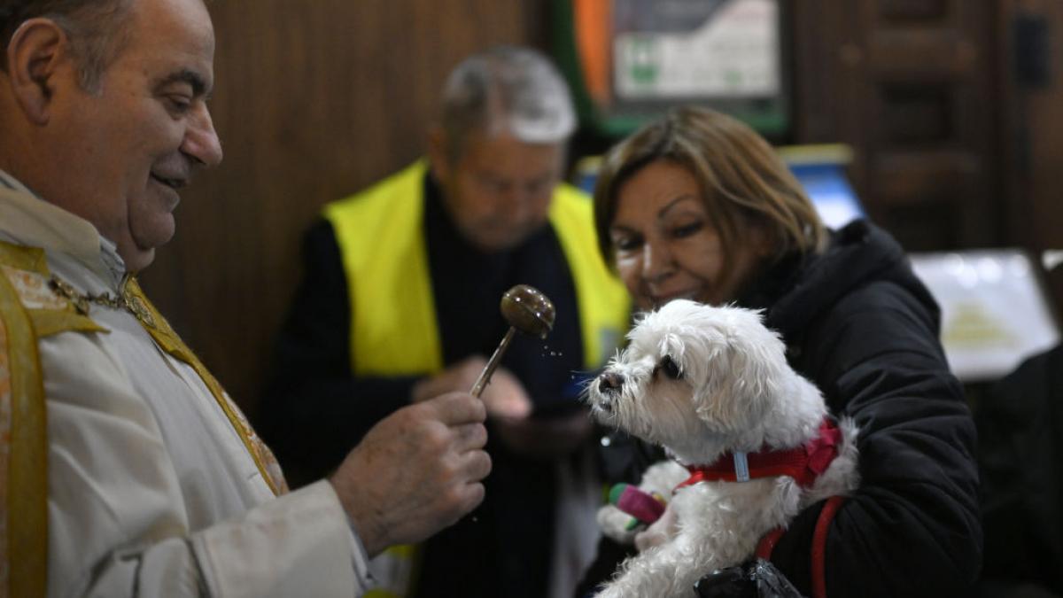 San Antón 2025 en Madrid: fechas, pregón y dónde se bendice a los animales