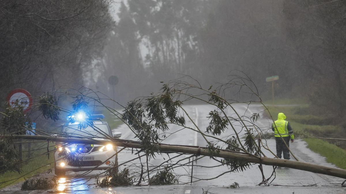 Así está afectando  Herminia  al norte de España: vuelos cancelados y árboles en carreteras