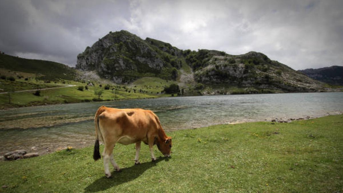 Este es el  pueblo de los celíacos  de España: libre de gluten y con un robledal que maravilla