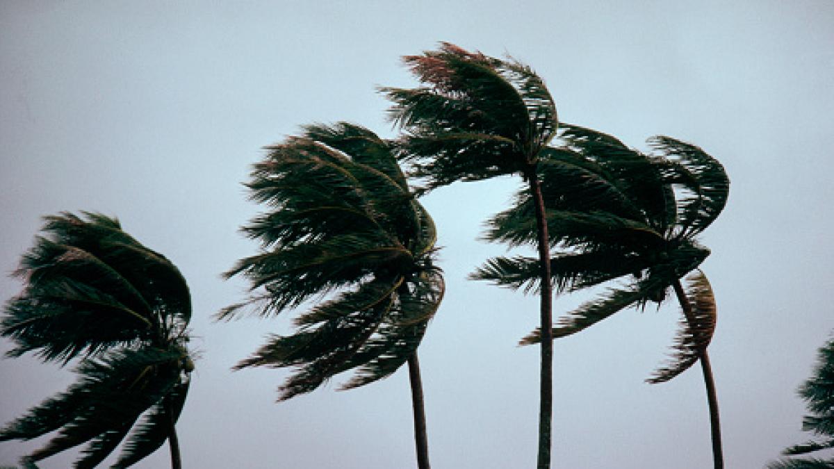 La AEMET tira por la borda el récord histórico de viento registrado el domingo en España de 239 km/h