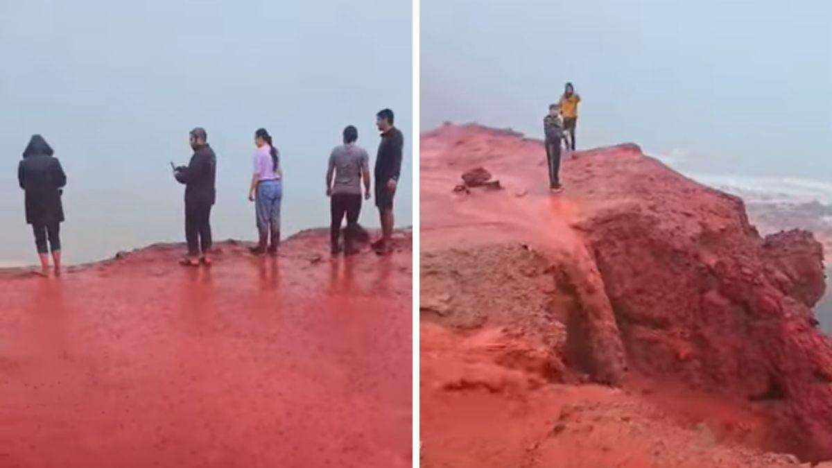 Captan la extraña lluvia de sangre que tiñe la playa de rojo por un fenómeno que también ocurre en España