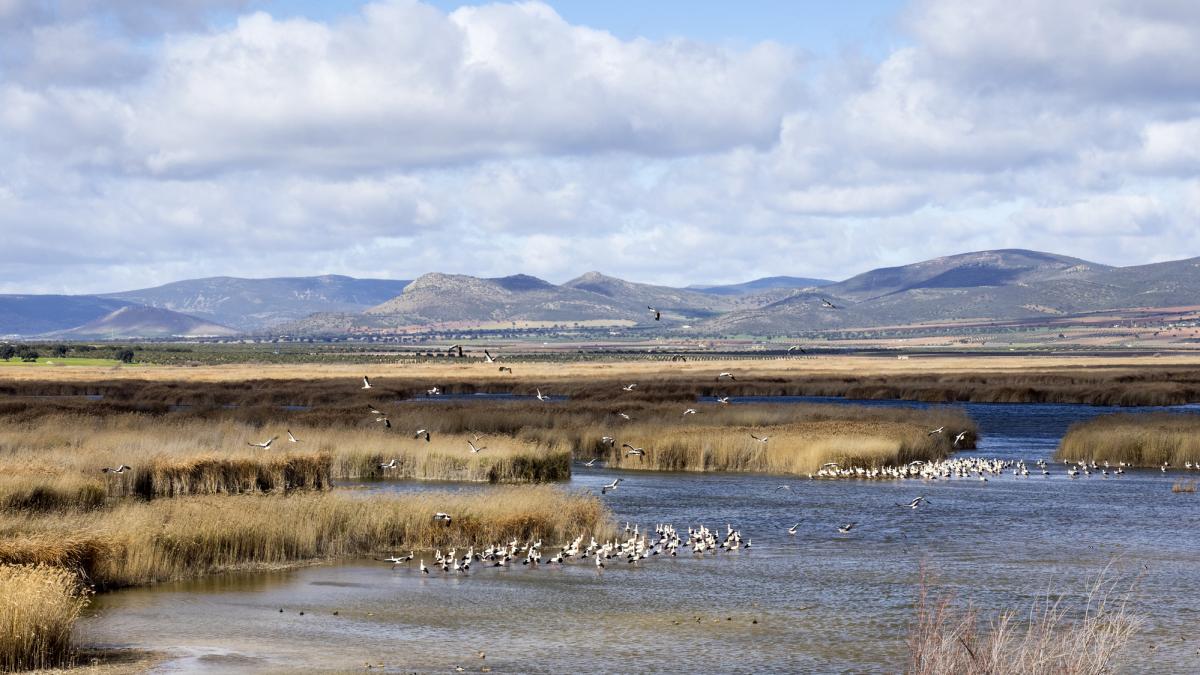 Este es el parque nacional más pequeño de España