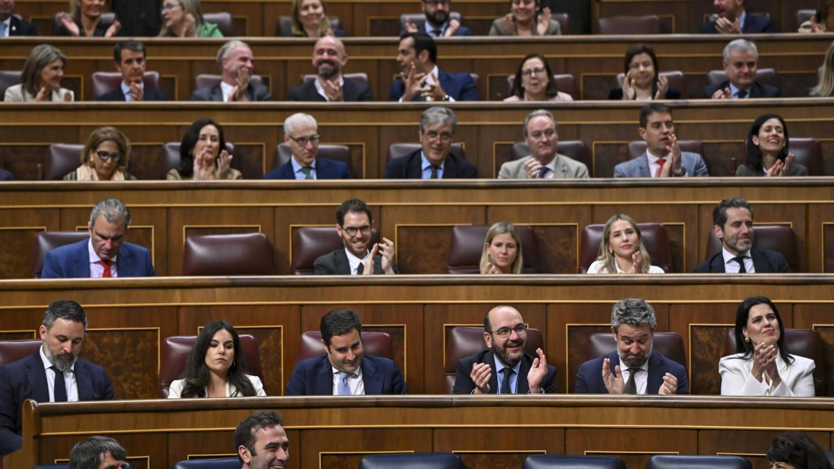 Acusan a un diputado de Vox de quedarse dormido en el Congreso durante el  debate sobre el apagón