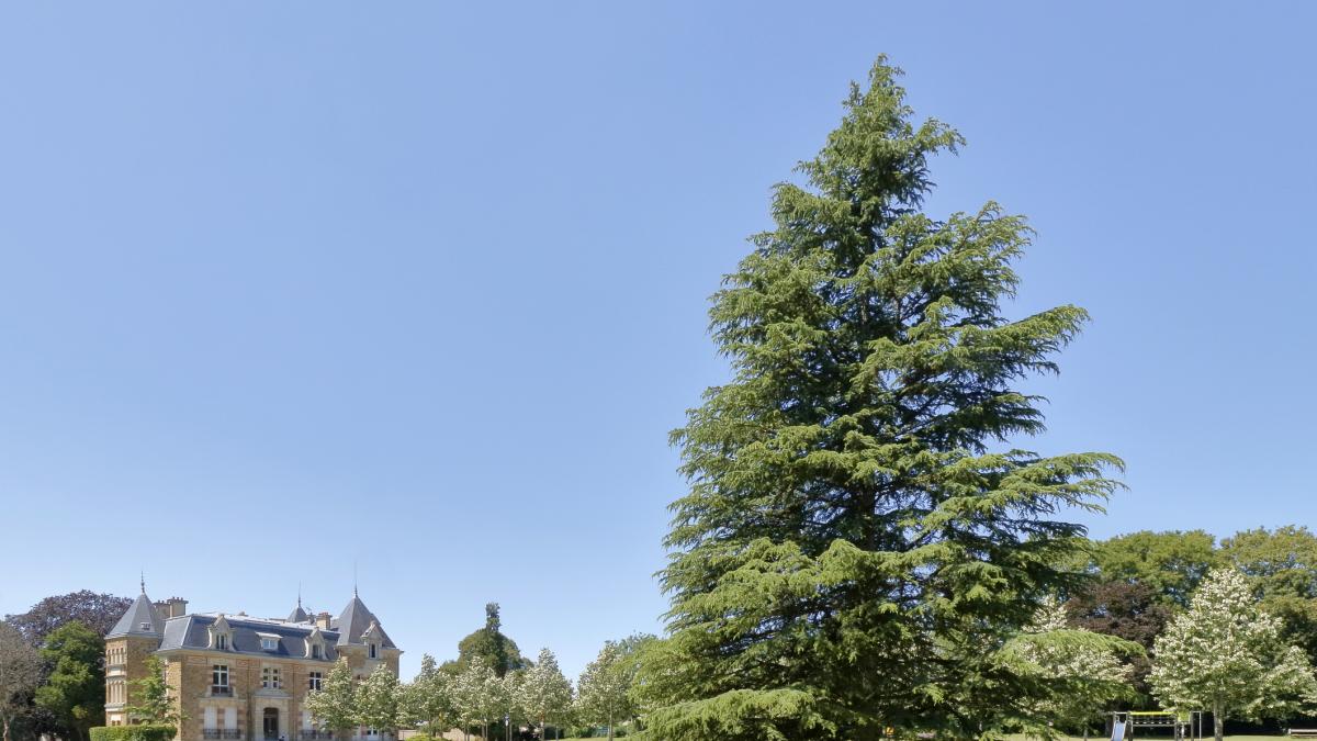 A la venta el castillo secreto del rey de Marruecos situado a un paso de España