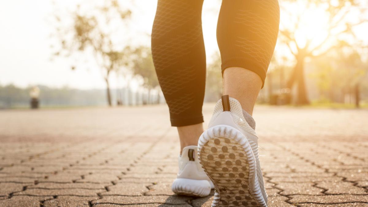 Human Bipedalism: New Science Reveals Why We Walk Upright