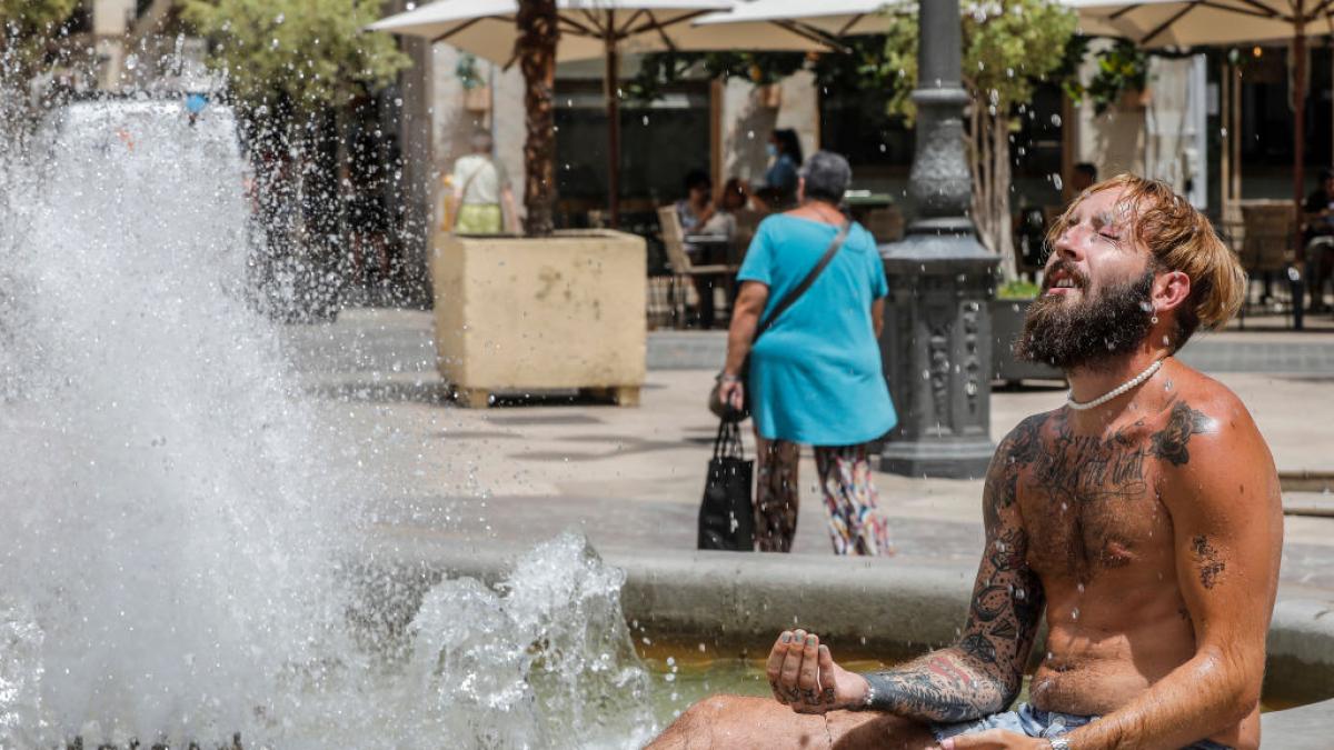 Alerta en Murcia tras la ola de calor por la llegada de la superplaga de chinches resistentes a insecticidas