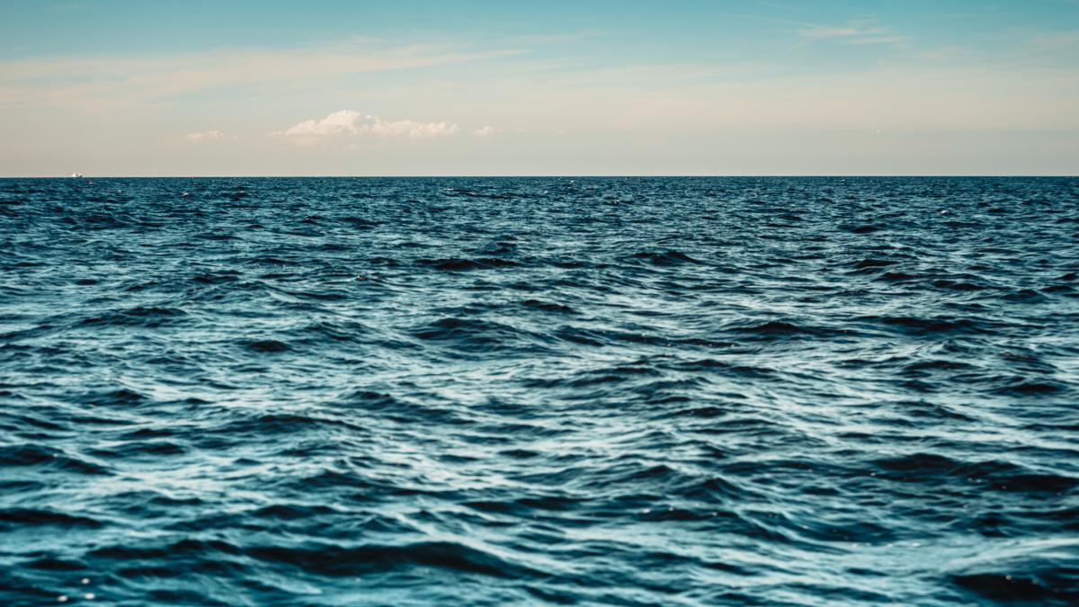 Ni la flota rusa ni la china: el inesperado encuentro de un patrullero español con el señor de los mares