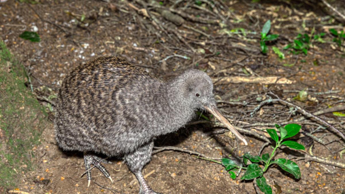 Corinna kopf lesbian porn prebooked Yena a couple of days