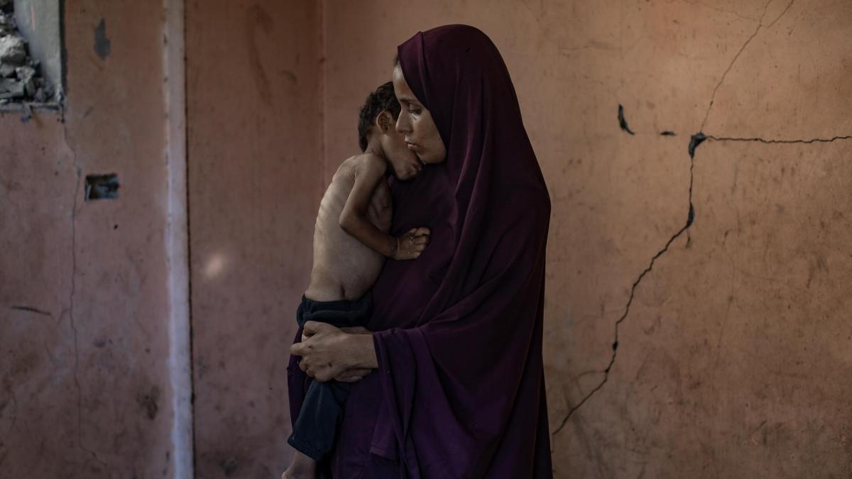 La agencia de noticias AFP denuncia que sus colaboradores en Gaza se están muriendo de hambre