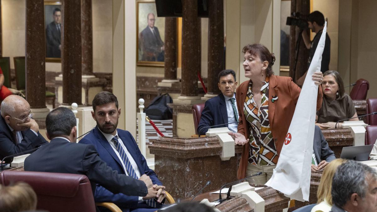 Una diputada de Podemos en Murcia regala a Vox un capirote del Ku Klux Klan