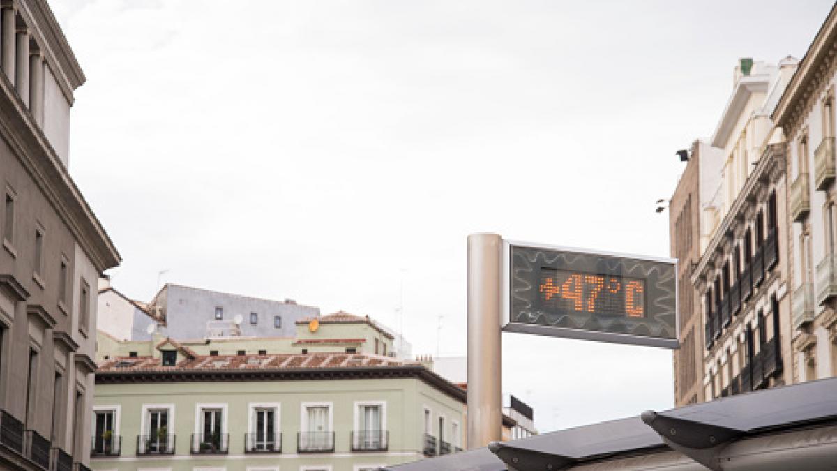 Un médico, investigador y remero se enfrenta al famoso mito sobre beber whisky salado cuando hace calor