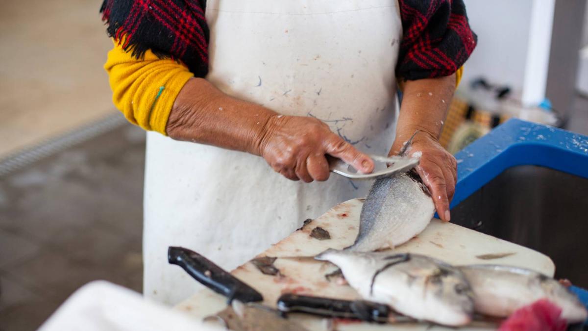 Bono Peixe de 50 euros en Galicia: cómo descargar, cuándo se agota y todos los detalles sobre la ayuda