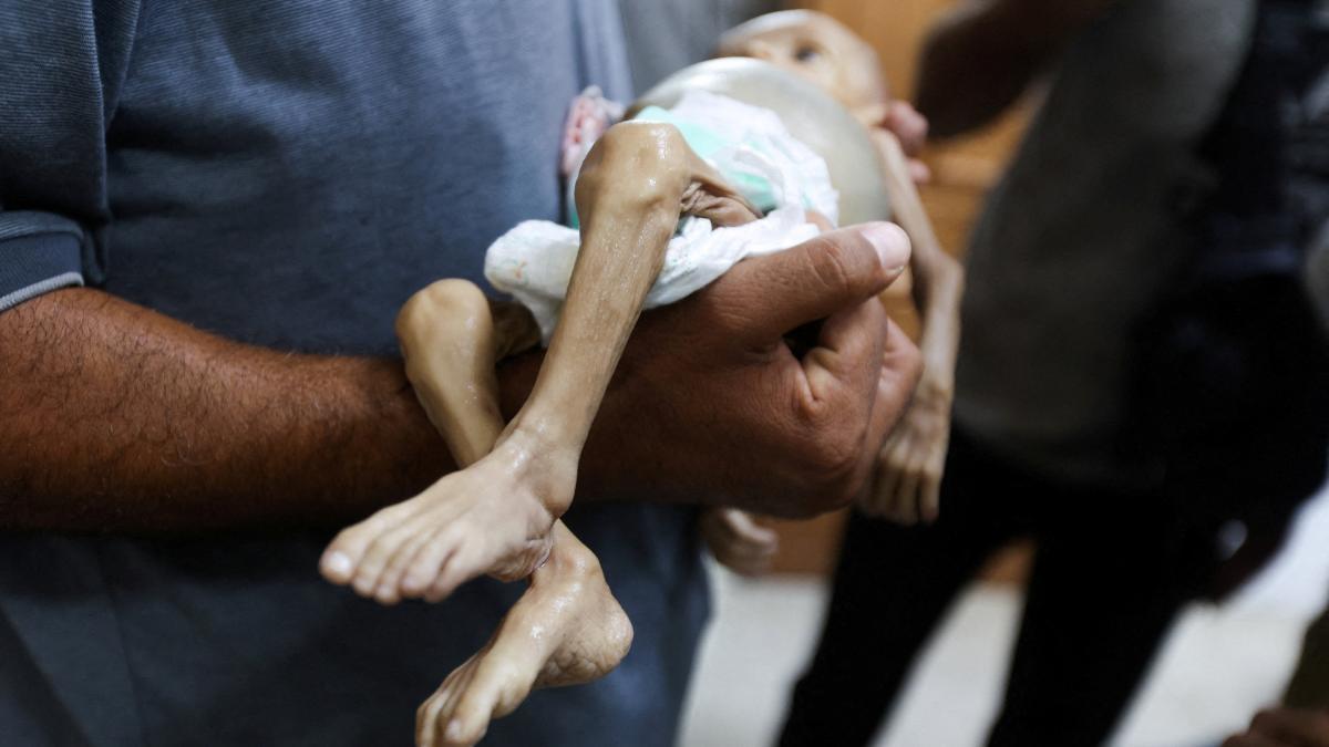 'Es el peor escenario': la ONU confirma oficialmente la 'hambruna' en Gaza