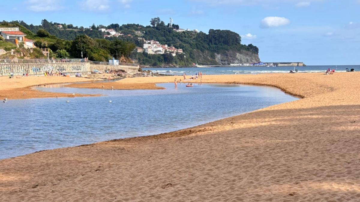 Prohíben entrar con perros en esta playa de Asturias y el añadido que le ponen al cartel es demoledor
