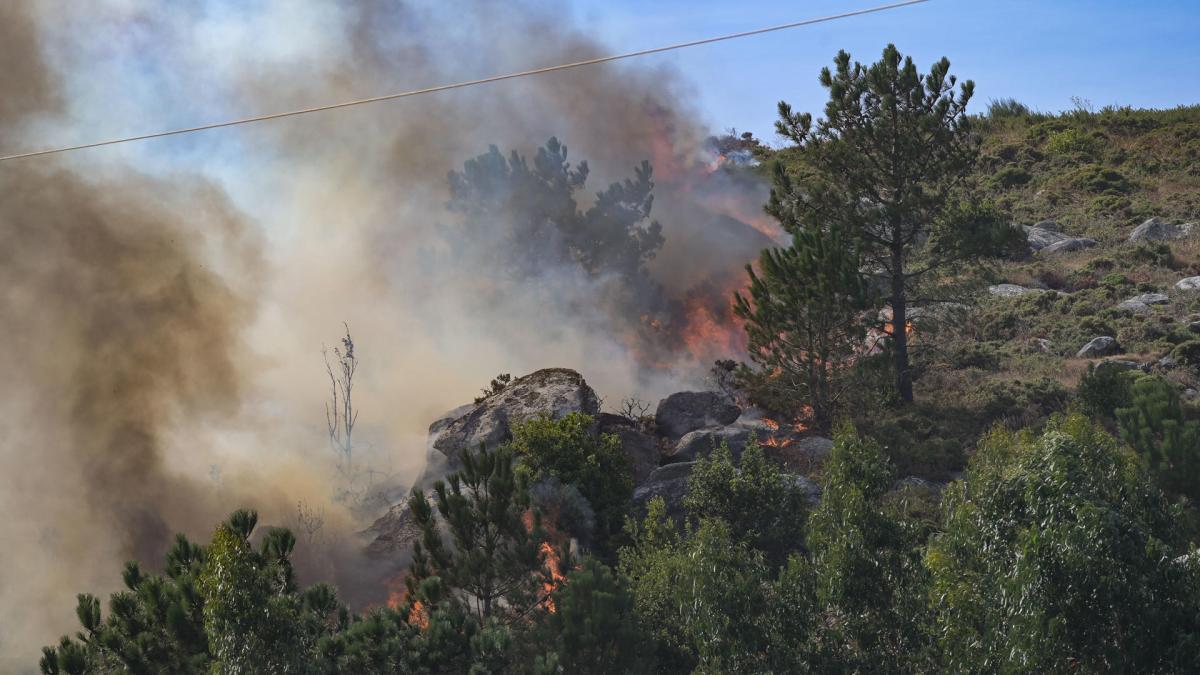 Tres incendios ponen en alerta a Cádiz, A Coruña y Navarra: evacuaciones, la UME y llamamientos a la  tranquilidad 