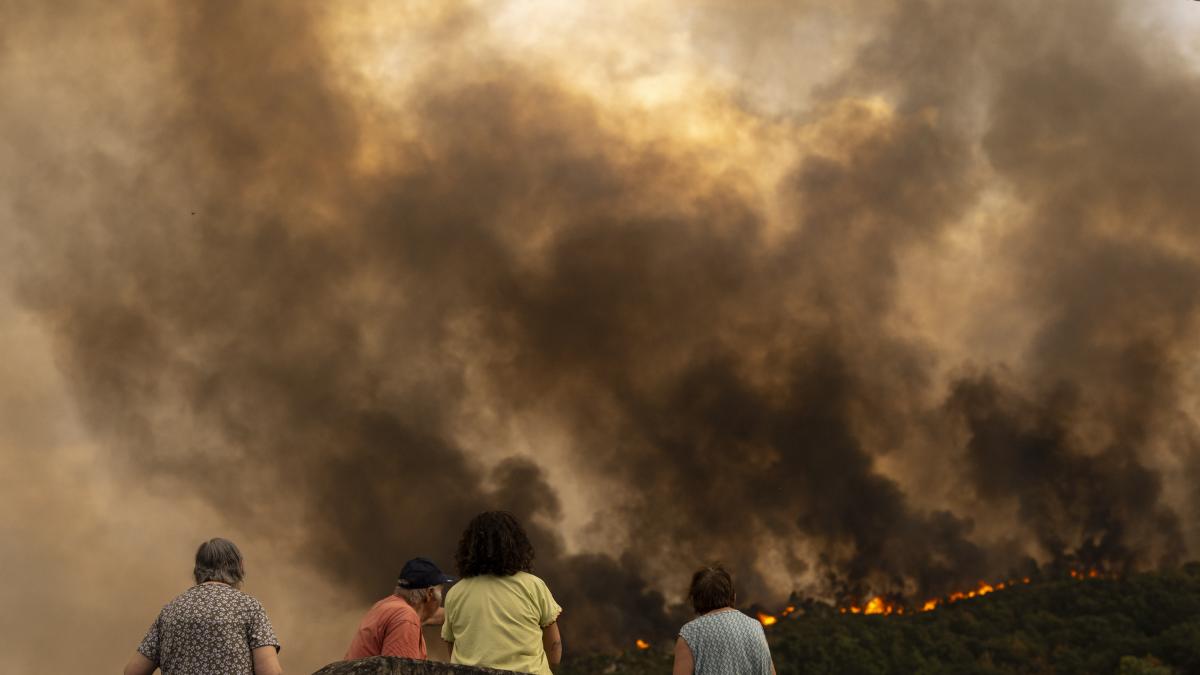 Última hora de los incendios en España, en directo: cinco peligrosos fuegos siguen descontrolados
