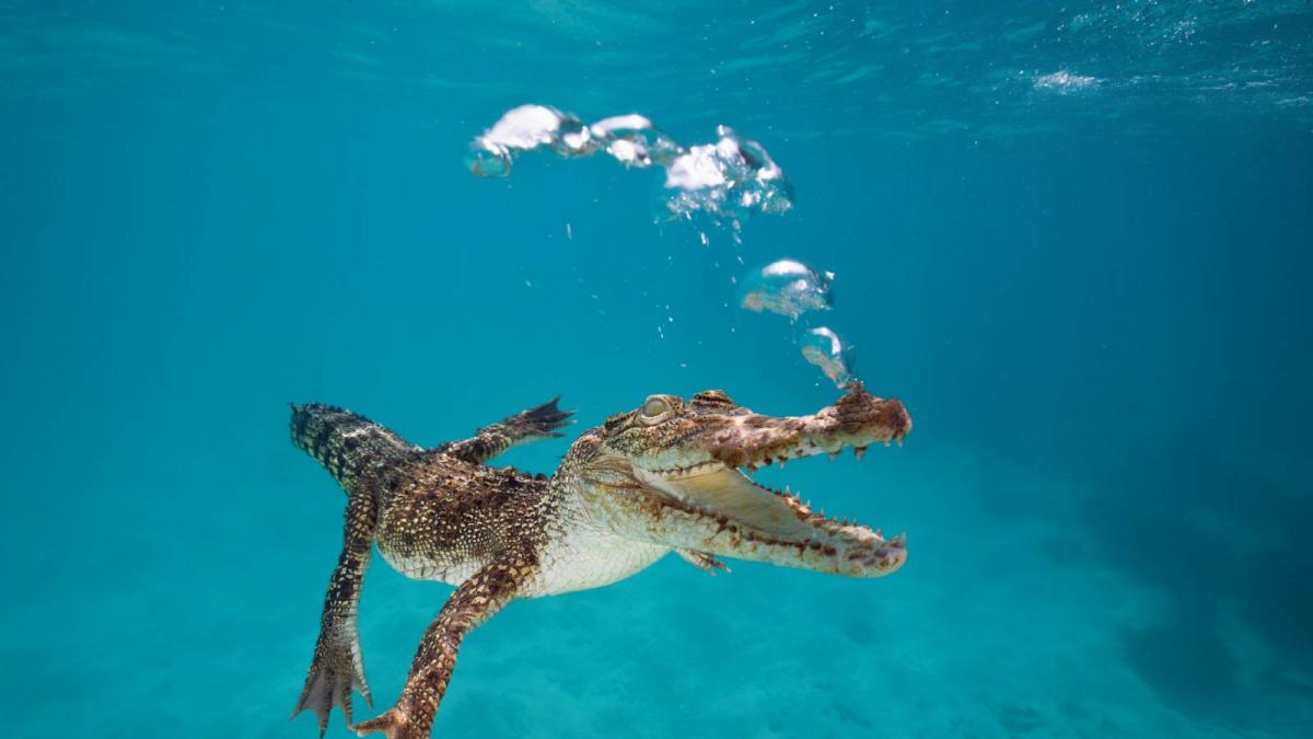 Rileyswift onlyfans leaks Onlyfans Michelle Anderson sex