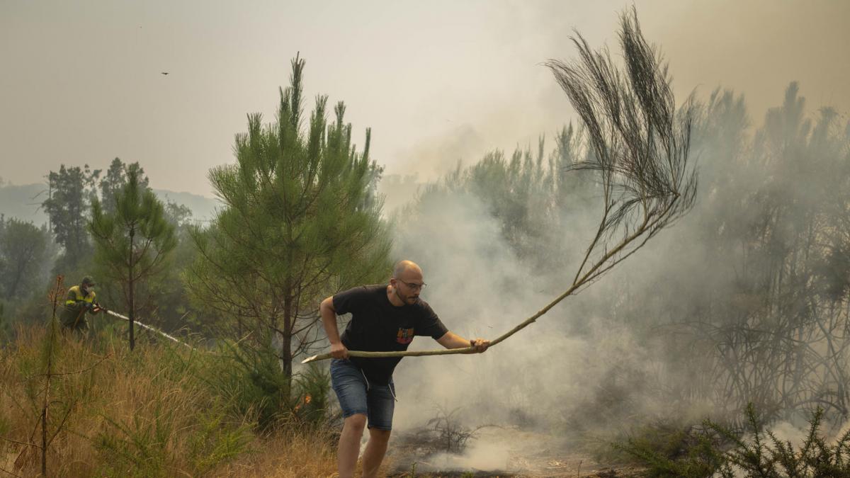 Los incendios de Extremadura, Ourense y León avanzan sin control