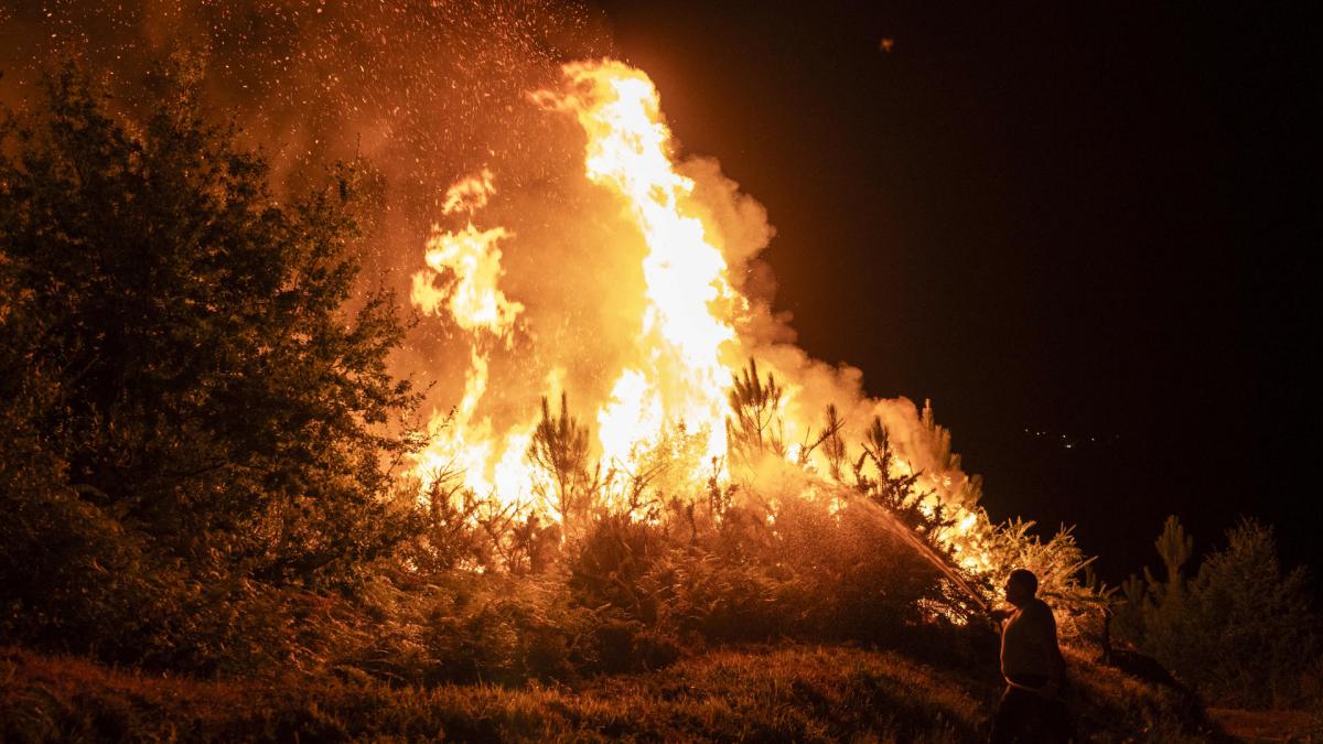 Última hora de los incendios, en directo: el fuego sigue fuera de control en Castilla y León, Galicia y Extremadura