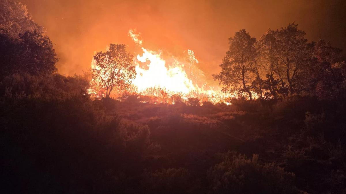 Los incendios que asolan España provocan 31.000 desalojados y una histórica ayuda internacional