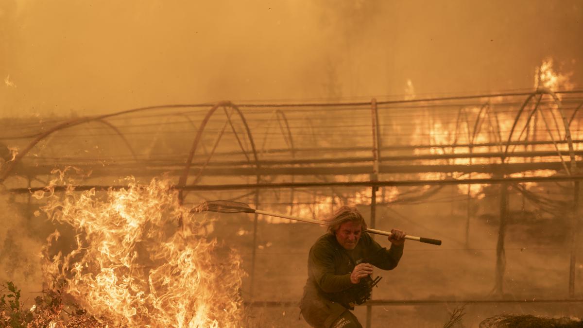 Última hora de los incendios, en directo: más de 40 fuegos asedian Galicia, Extremadura y Castilla y León