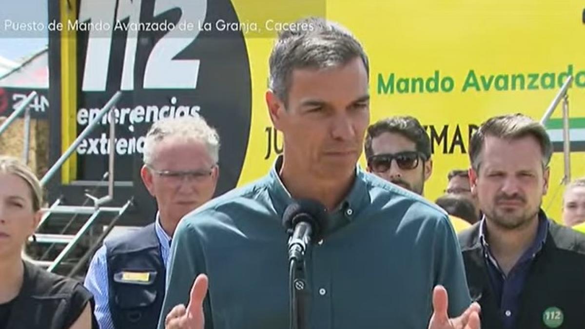 El Gobierno declarará zona de emergencia los territorios afectados por los incendios